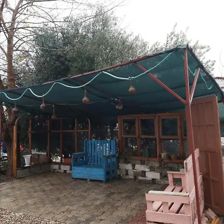 Hotel Hasyurt *